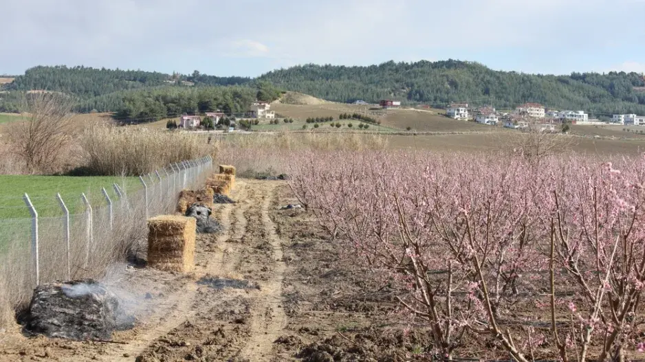 mráz duben mráz duben