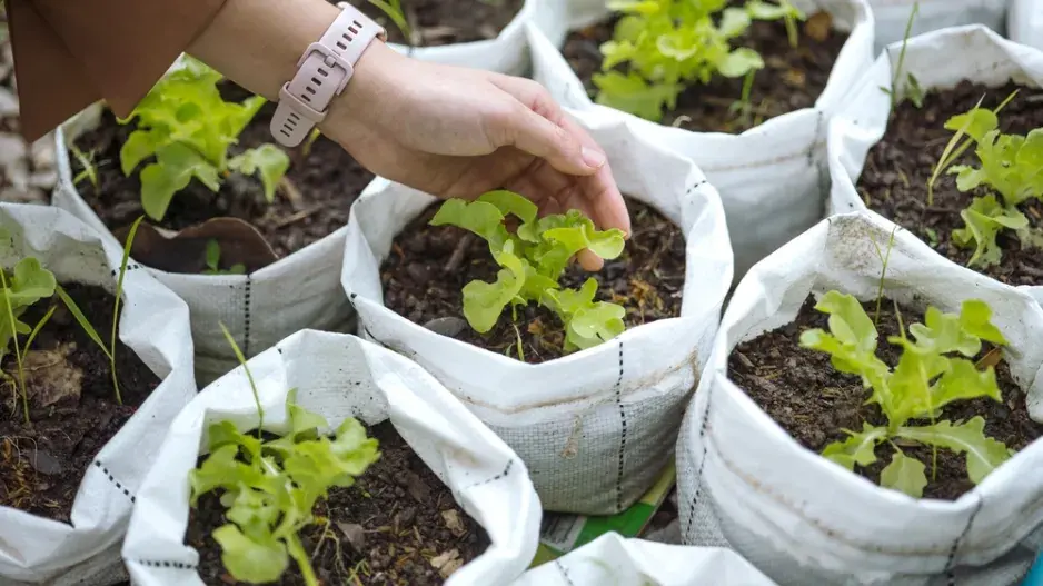 Textilní květináče nabízí pestré využití  Textilní květináče nabízí pestré využití