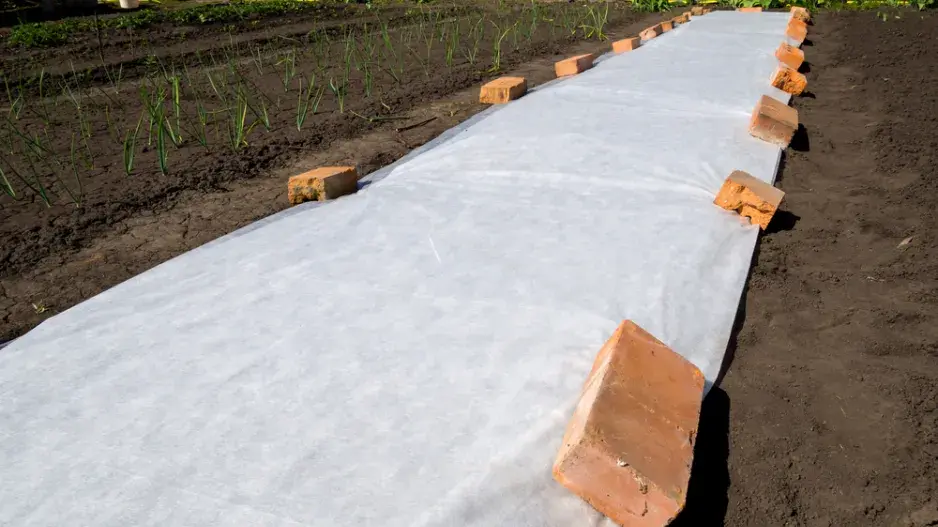 mráz duben mráz duben