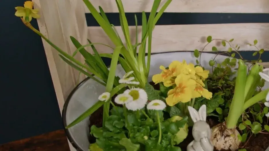 Jarní minizahrádka