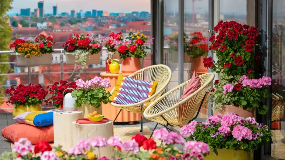 Zákoutí s muškáty