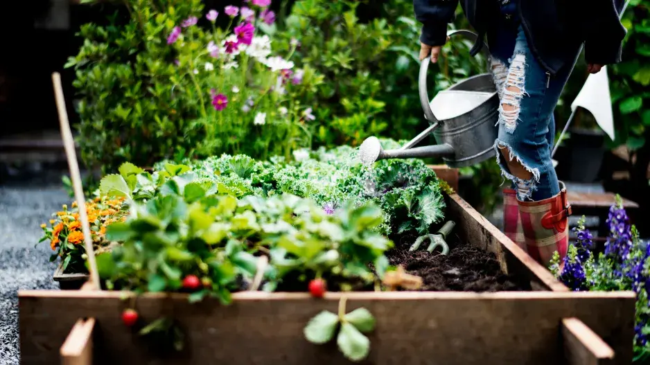 Zahradu mohou zlikvidovat neviditelní škůdci 