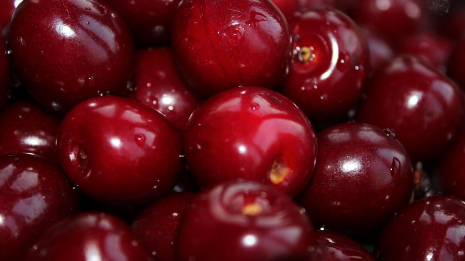 Višeň (Prunus cerasus)
