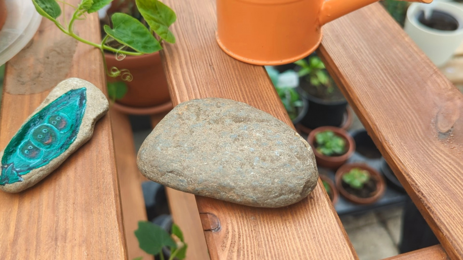 DIY: Značky k rostlinám
