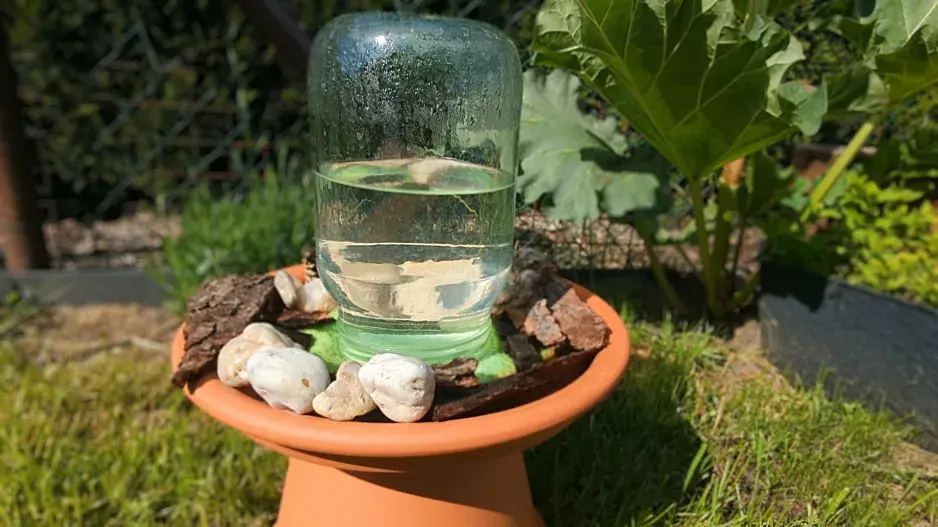 DIY: Pítko pro hmyz