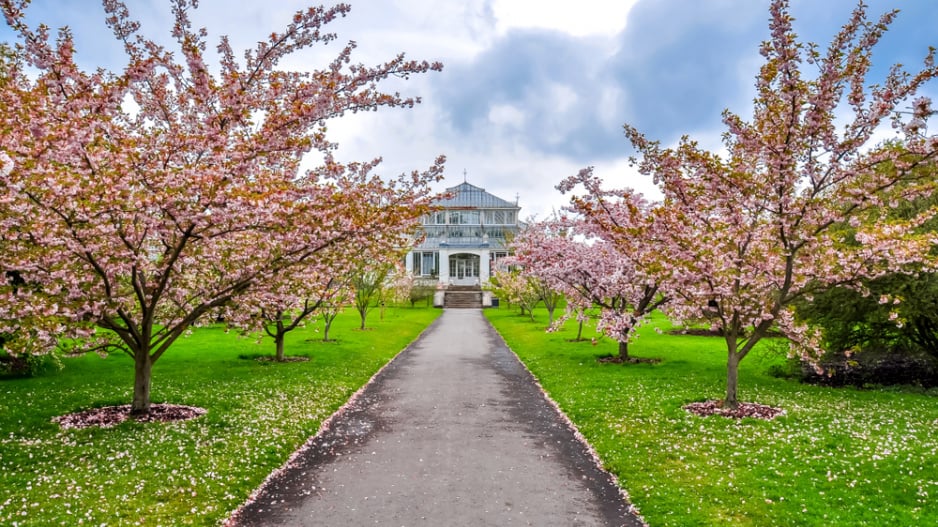 Kew Garden