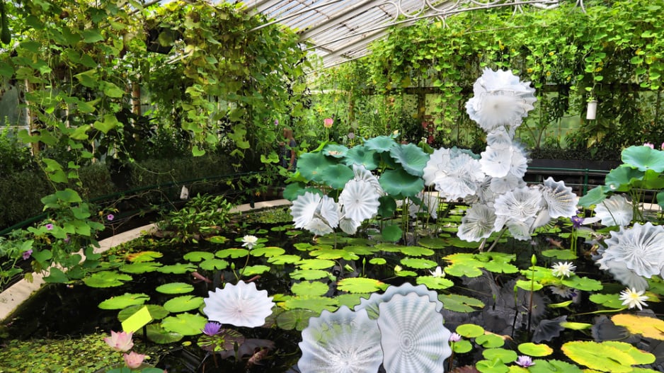 Kew Garden