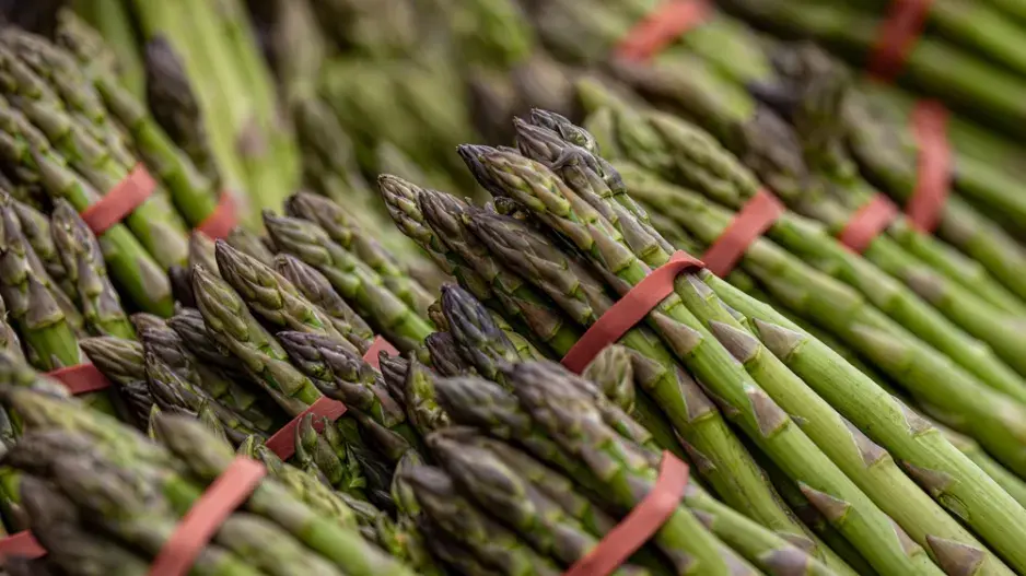 Chřest lékařský (Asparagus officinalis)