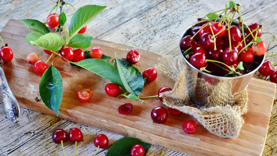 Višeň (Prunus cerasus)