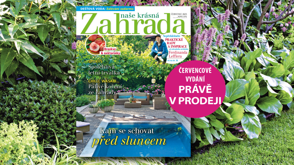 Naše krásná zahrada 7/2025