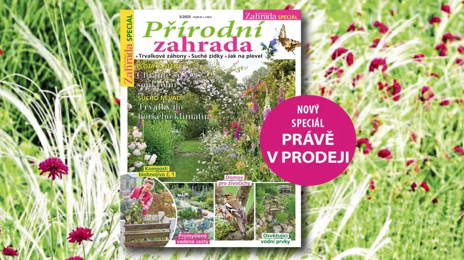 Speciál Přírodní zahrada