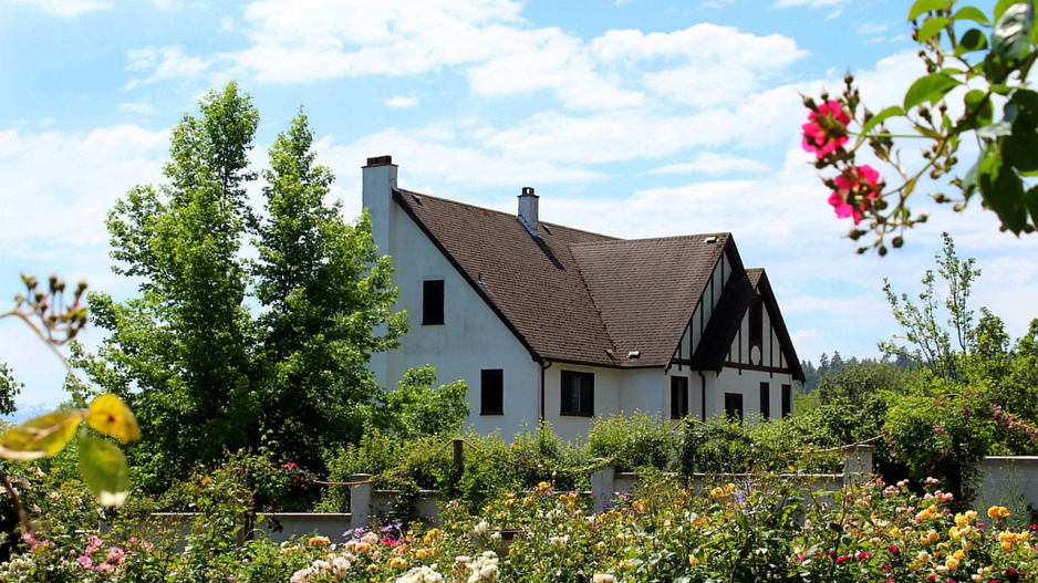 Babiččina zahrádka 