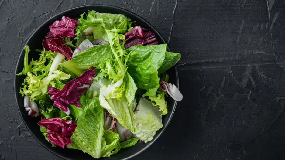 letní saláty letní saláty