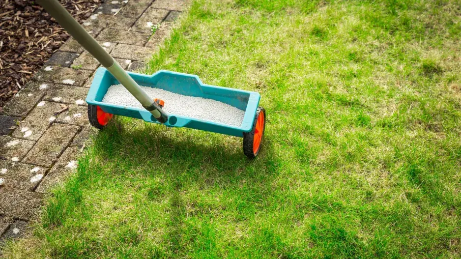Hnojení trávníku  Hnojení trávníku
