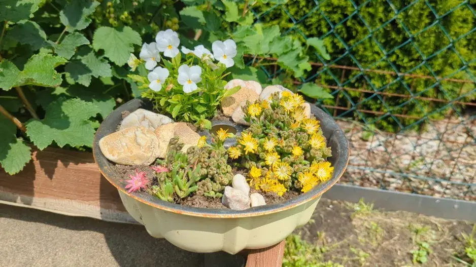 DIY: Květináč z formy