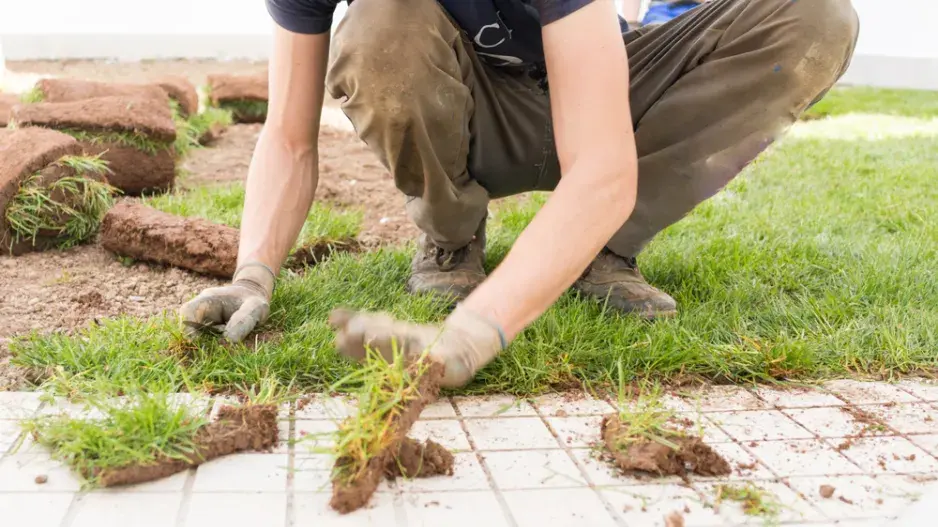 Pokládka travního koberce Pokládka travního koberce