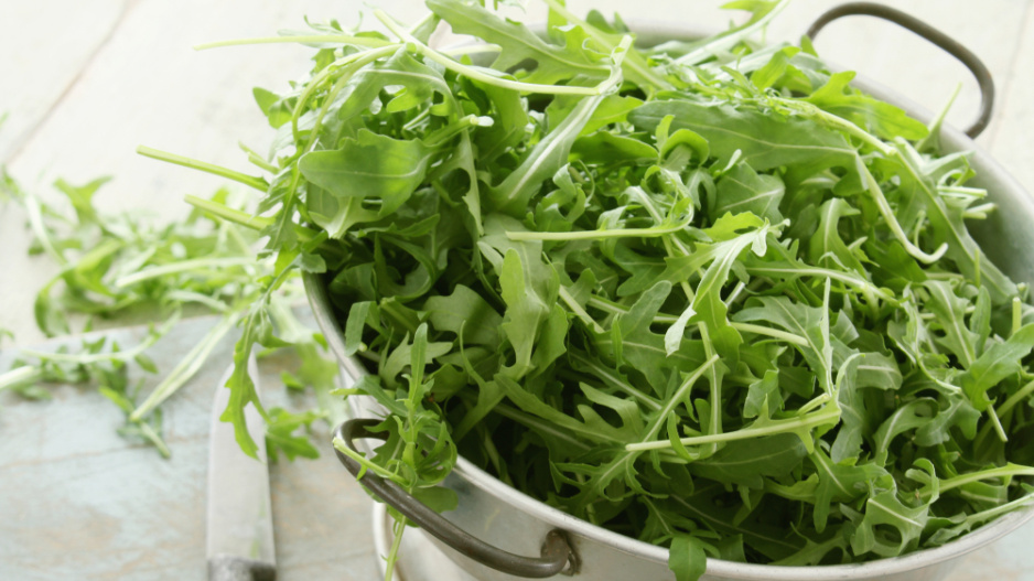 Roketa setá (Eruca sativa) 