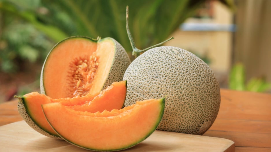 Meloun cukrový (Cucumis melo) 
