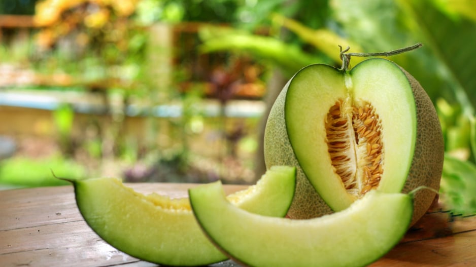 Meloun cukrový (Cucumis melo) 