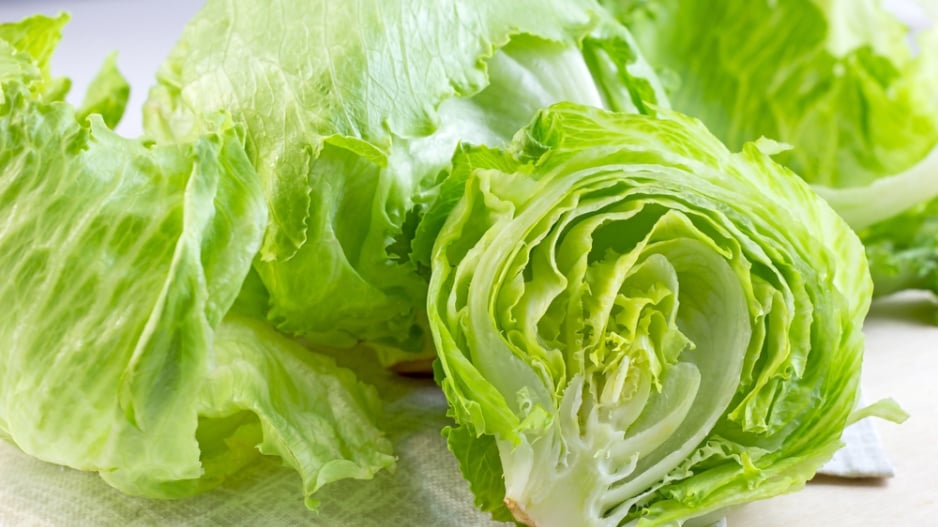 Ledový salát (Lactuca sativa var. Capitata)