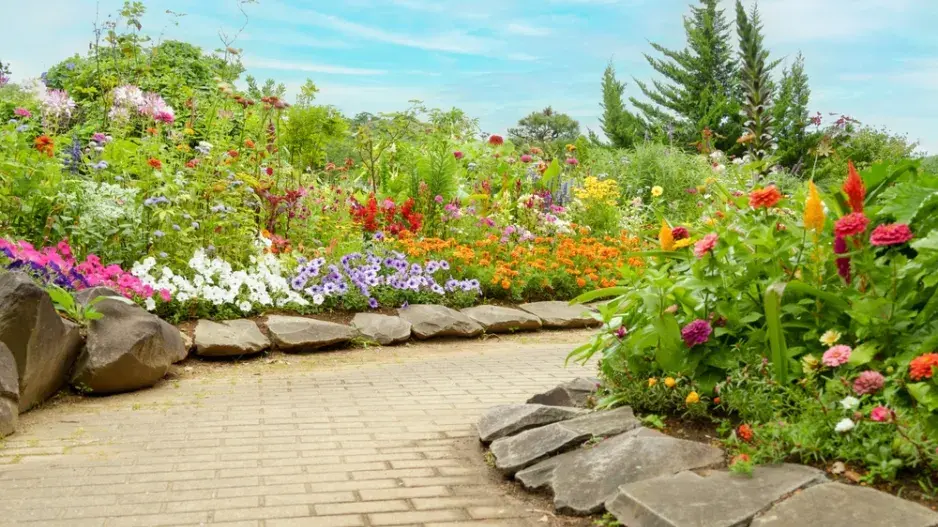 Péče o květinovou zahradu v červnu