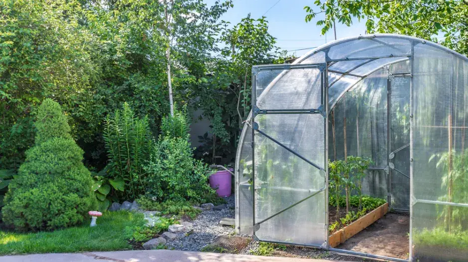 Péče o zahradu v horku