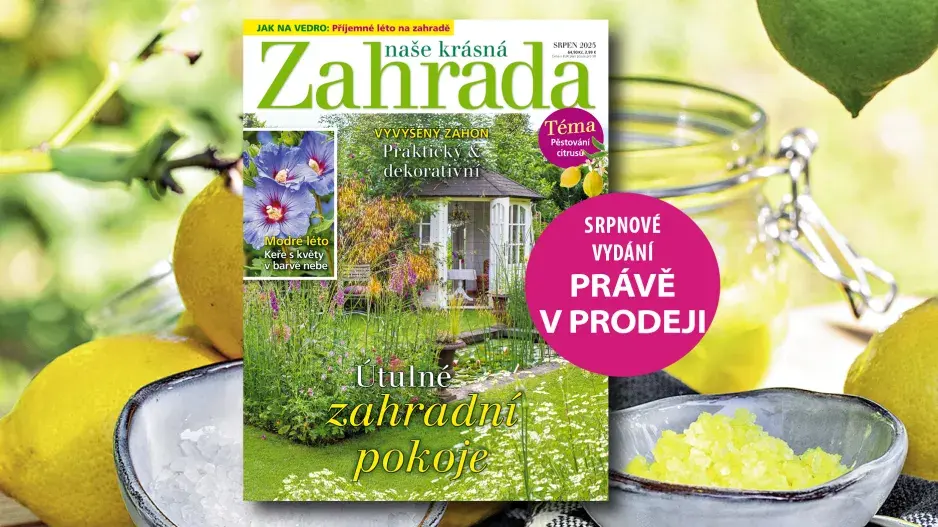 Naše krásná zahrada 8/2025