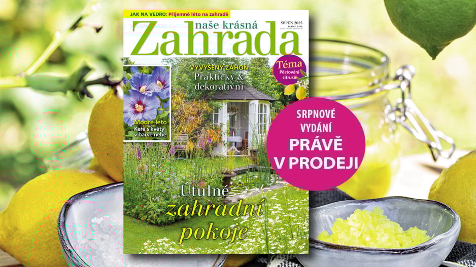 Naše krásná zahrada 8/2025