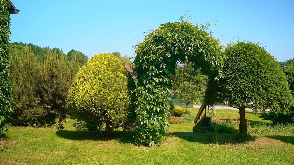 Zahrada Benešov nad Černou