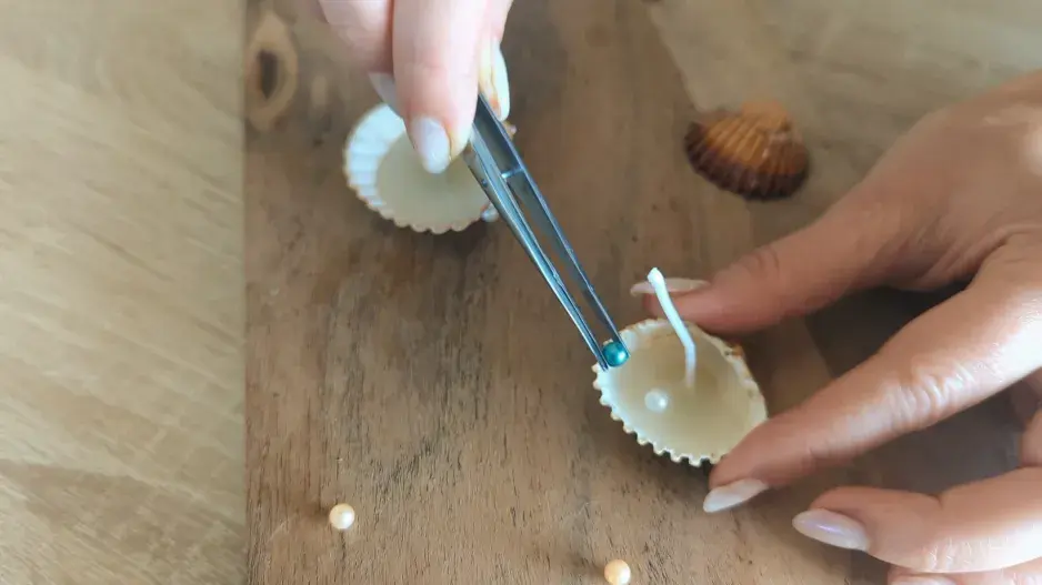 DIY: Svíčky z mušlí DIY: Svíčky z mušlí