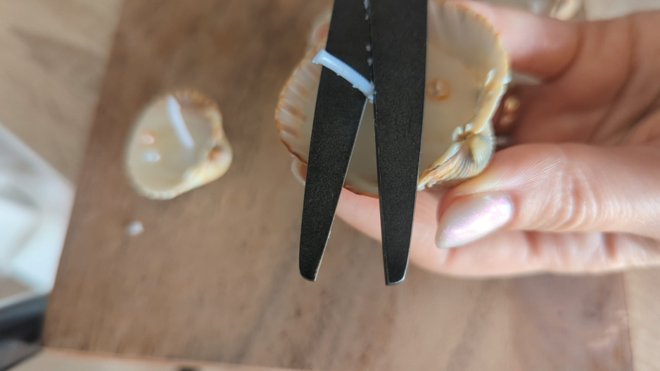 DIY: Svíčky z mušlí