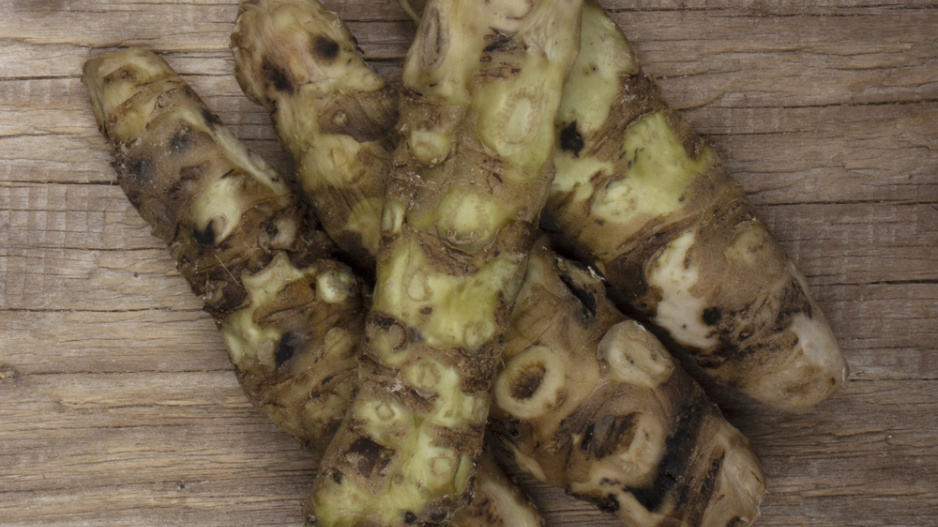 Japonský křen wasabi (Wasabia japonica) 