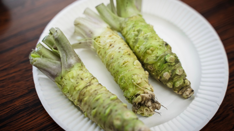Japonský křen wasabi (Wasabia japonica) 