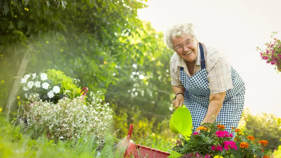 Babičky na zahradě