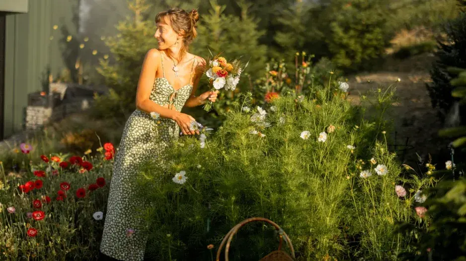 Nový zákon o zahradách 2025