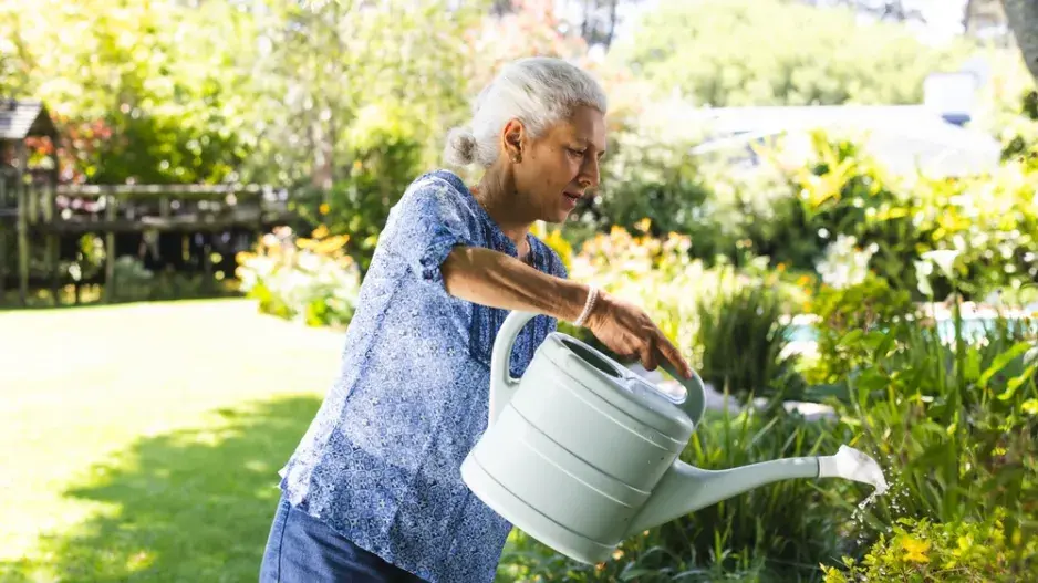 Závlaha před dovolenou