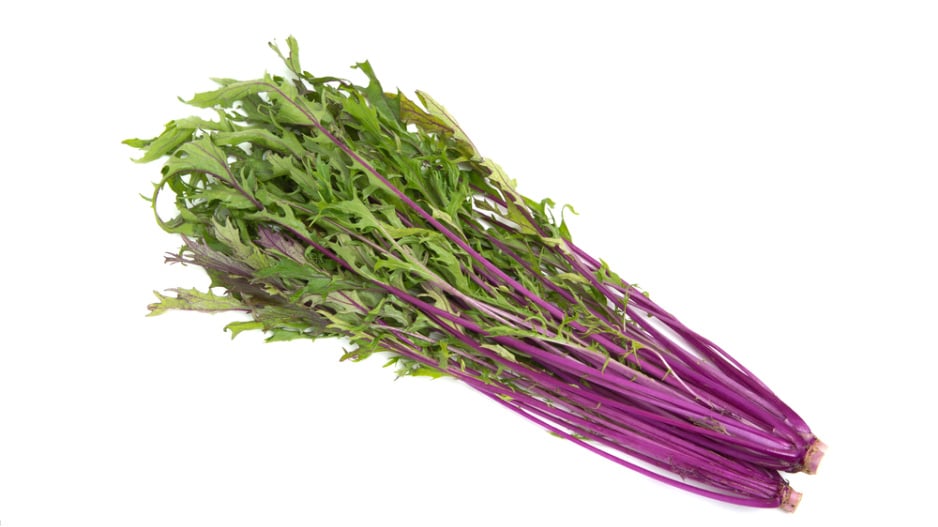 Mizuna (Brassica campestris Japonica) 