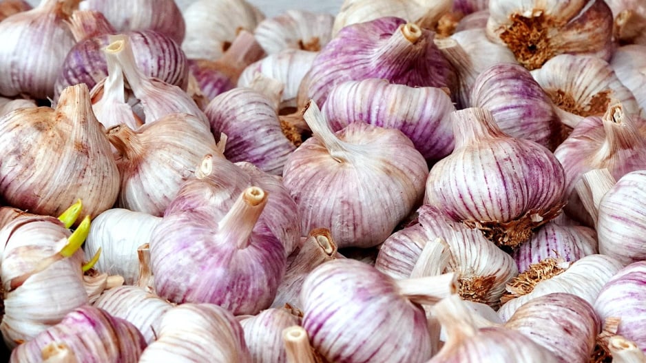 Rostliny