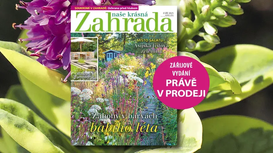 Naše krásná zahrada 9/2025