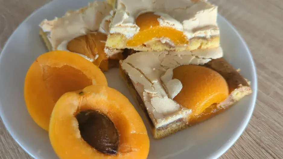 Recept na meruňkové řezy