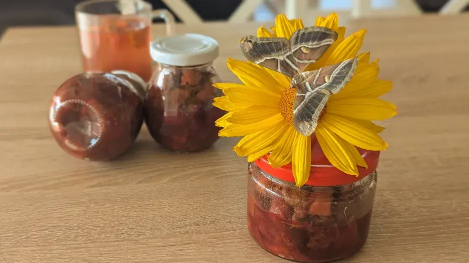 Recept na pečený čaj