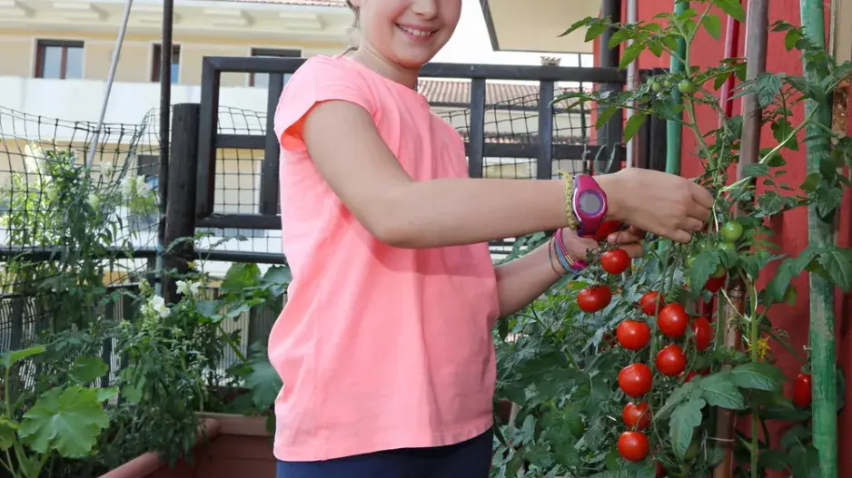 Pěstování zeleniny a ovoce na balkoně