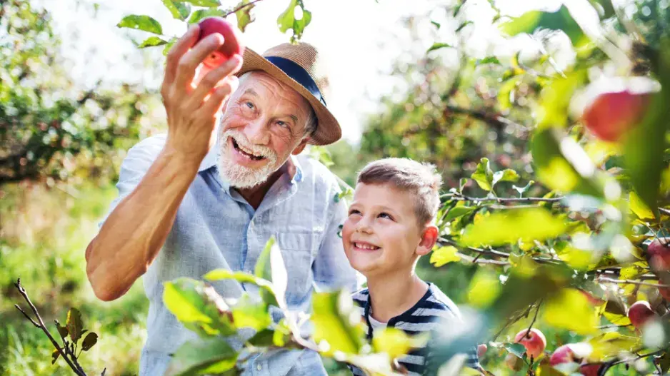 Pěstování ovoce na zahradě