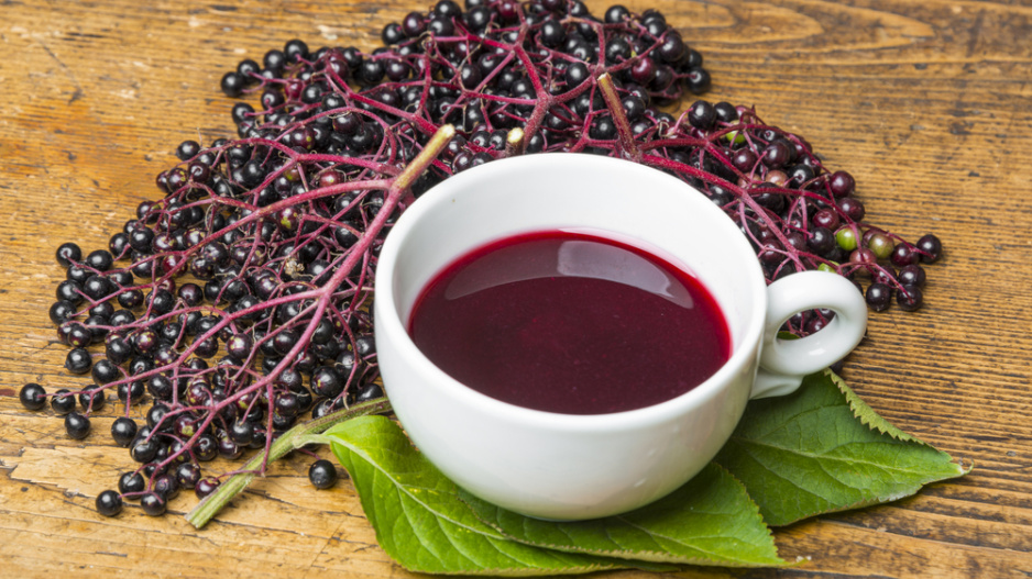 Černý bez (Sambucus nigra) 