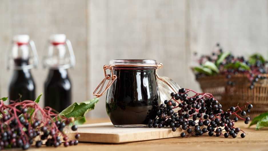 Černý bez (Sambucus nigra) 