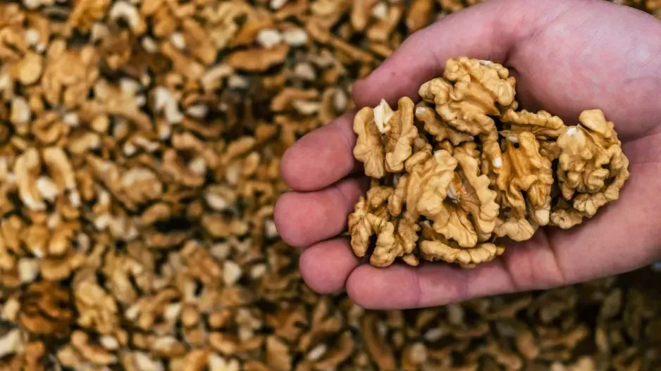 Ořešák královský