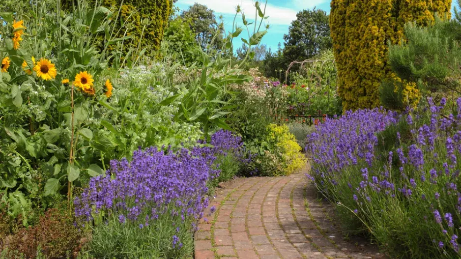 Trvalky jako lem záhonů