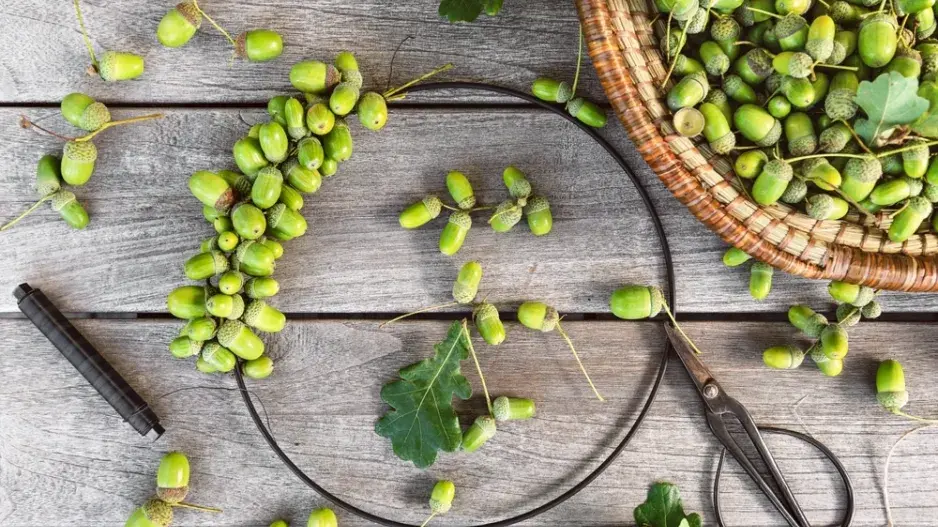 DIY podzimní věnec z žaludů DIY podzimní věnec z žaludů
