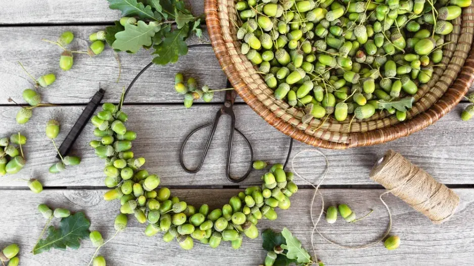 DIY podzimní věnec z žaludů DIY podzimní věnec z žaludů