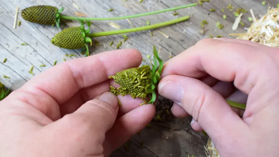 Podzimní věnec DIY Podzimní věnec DIY